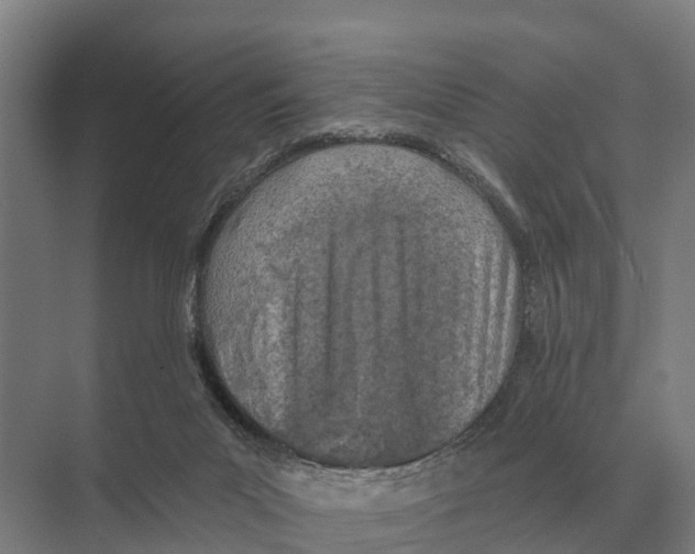 X0000071960023200608041631