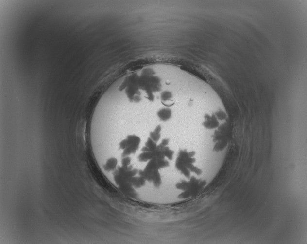 X0000071960024200608041631