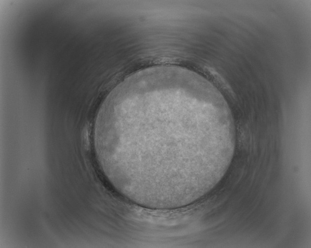 X0000071960026200608041631