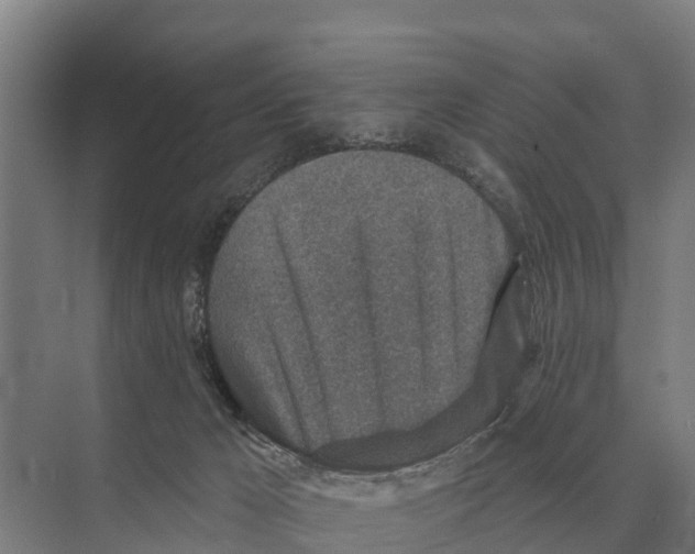 X0000071960029200608041631