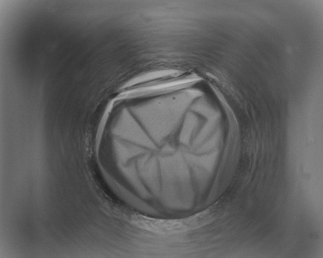 X0000071960031200608041631