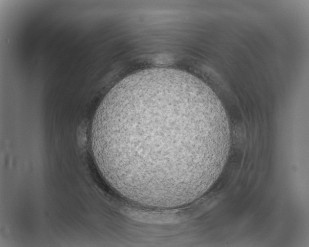 X0000071960032200608041631