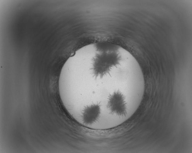 X0000071960034200608041631