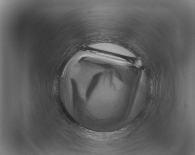 X0000071960035200608041631