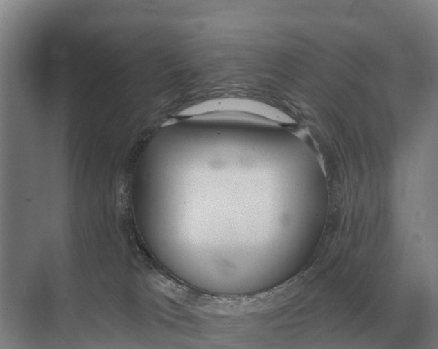 X0000071960037200608041631