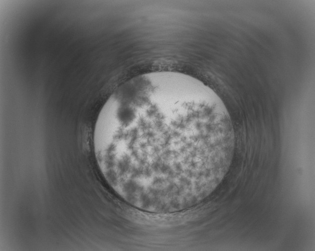 X0000071960038200608041631