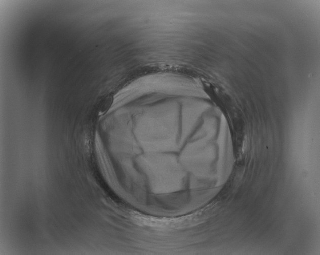 X0000071960039200608041631