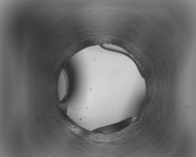 X0000071960041200608041630