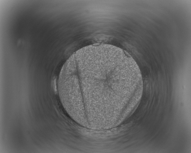 X0000071960042200608041630