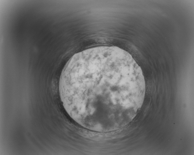 X0000071960043200608041630