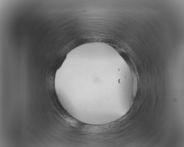 X0000071960045200608041630