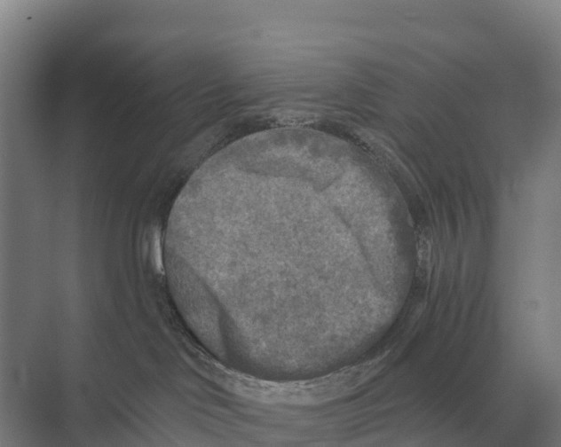 X0000071960046200608041630