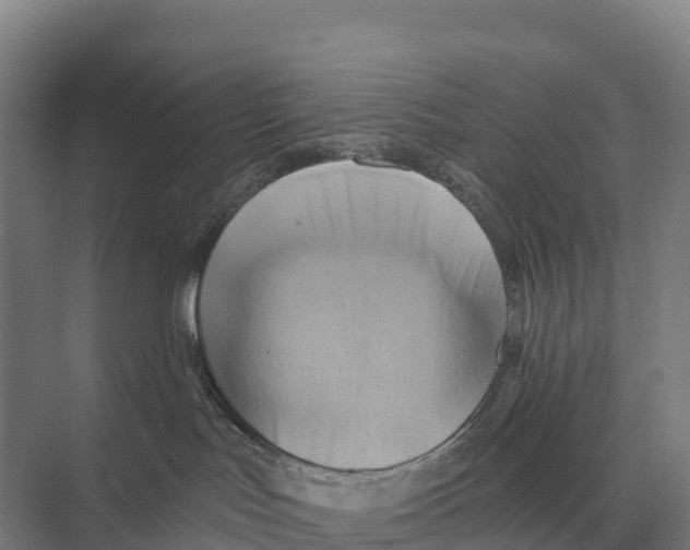 X0000071960047200608041630