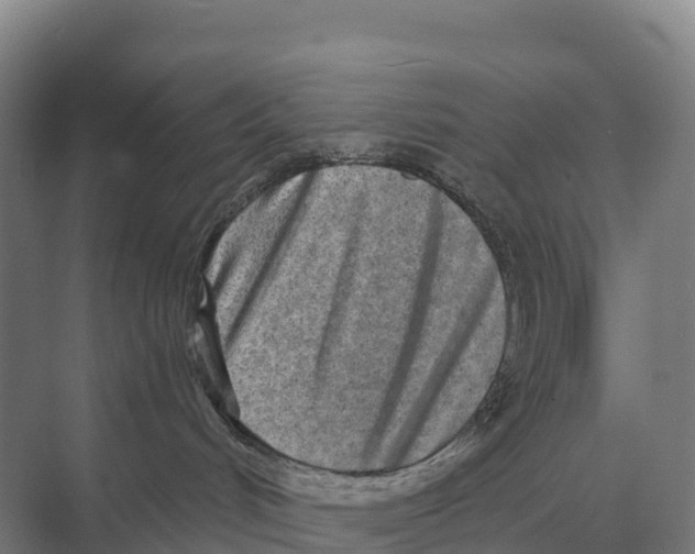 X0000071960048200608041630