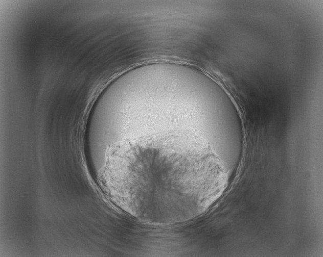 X0000071960049200608041630