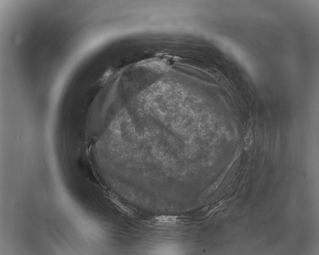 X0000071960052200608041630