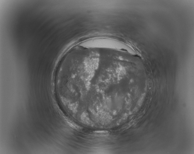 X0000071960053200608041630