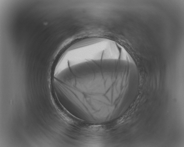 X0000071960054200608041630