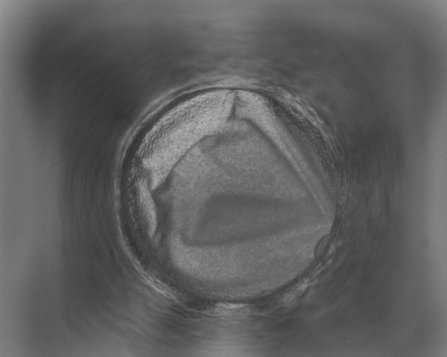 X0000071960055200608041630