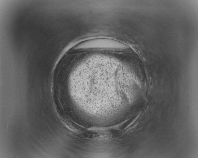 X0000071960056200608041630