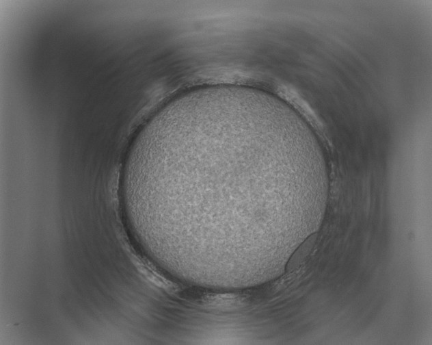 X0000071960058200608041630