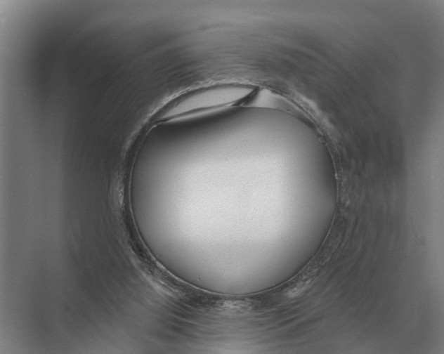 X0000071960060200608041630