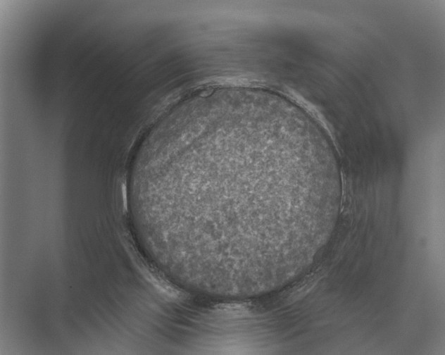 X0000071960061200608041630