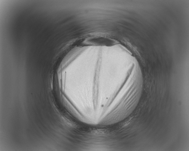 X0000071960062200608041630