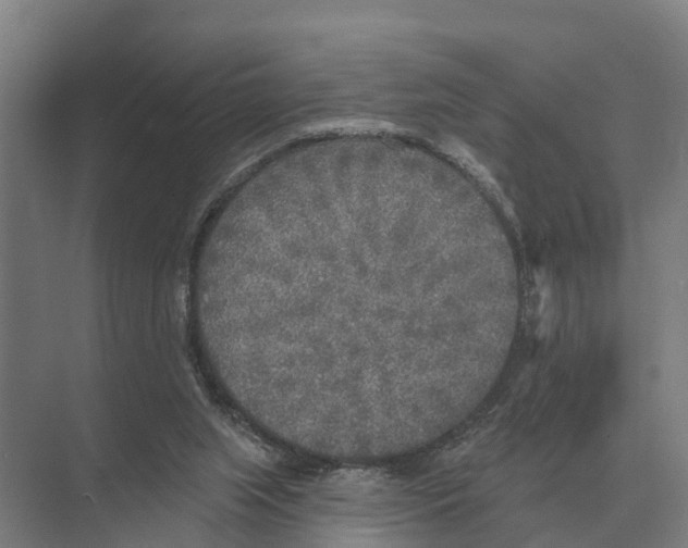 X0000071960063200608041630