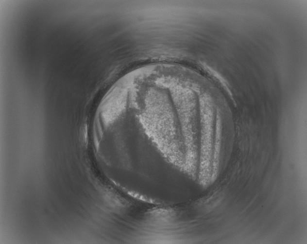 X0000071960067200608041630