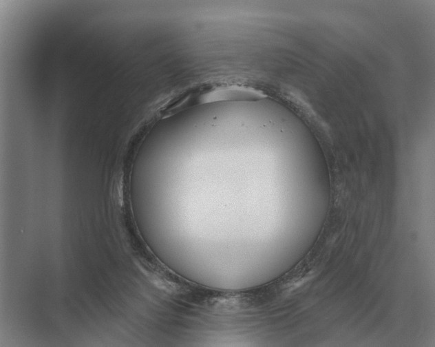 X0000071960068200608041630