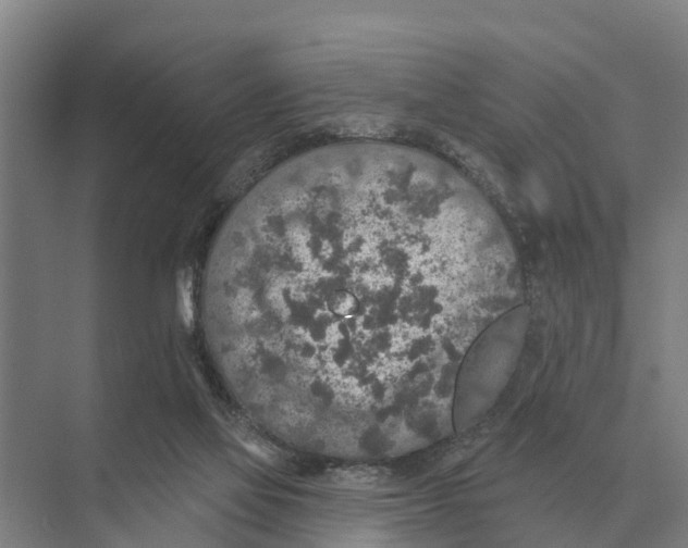 X0000071960069200608041630