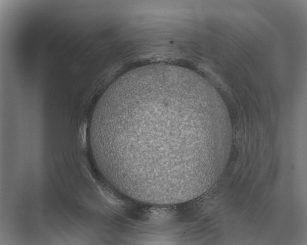 X0000071960070200608041630