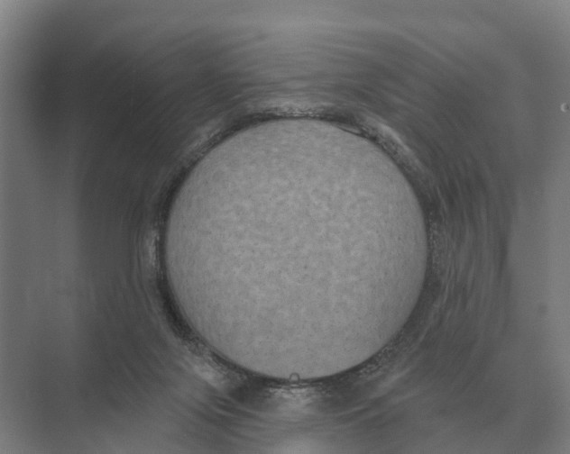 X0000071960071200608041630