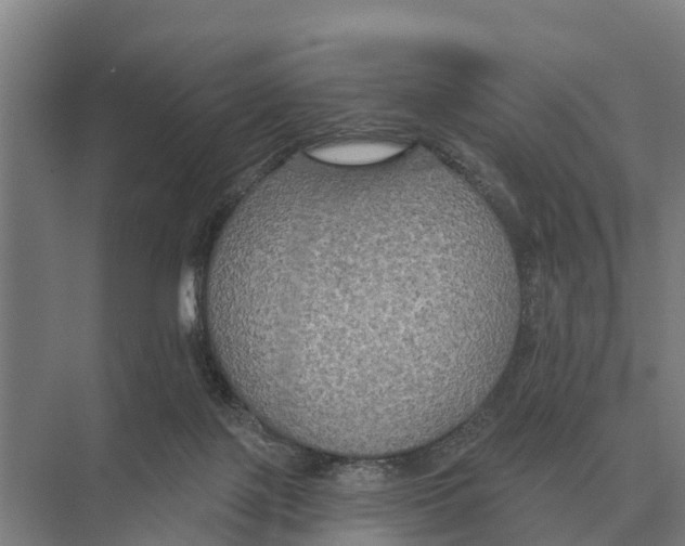 X0000071960075200608041630