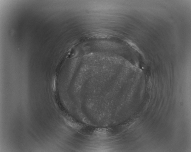 X0000071960076200608041630