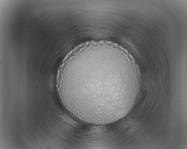 X0000071960077200608041630