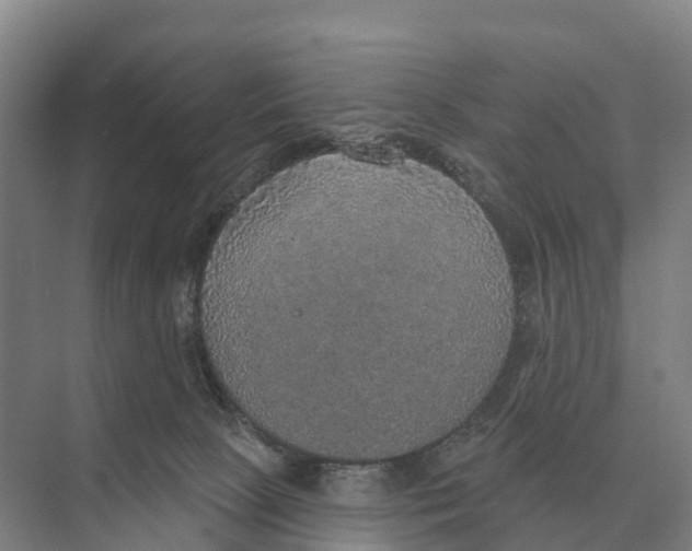 X0000071960081200608041630