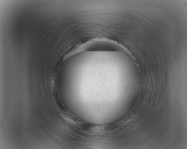 X0000071960084200608041630