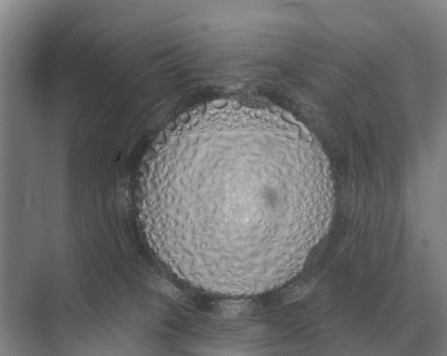 X0000071960085200608041630