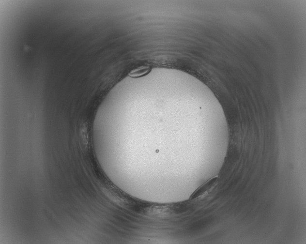 X0000071960086200608041630