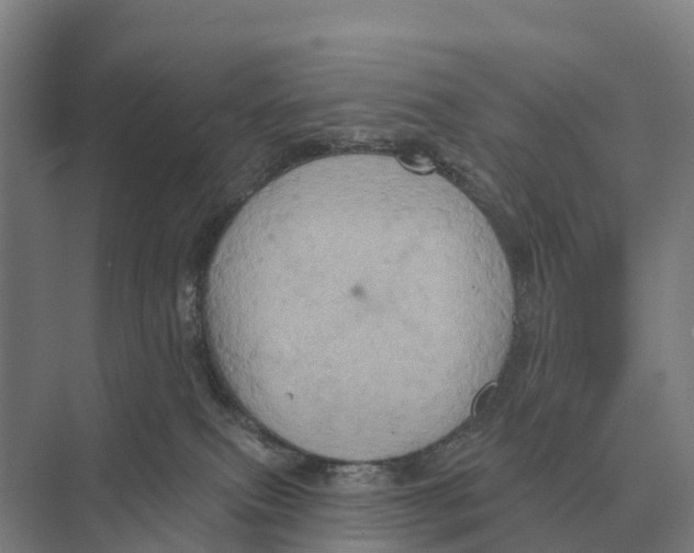 X0000071960087200608041630