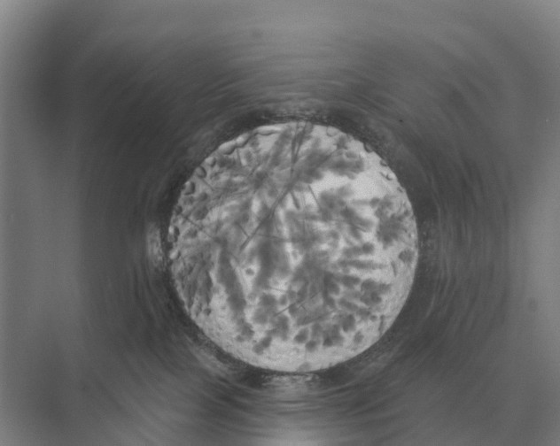 X0000071960089200608041630