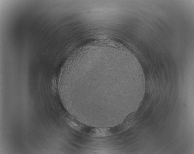 X0000071960093200608041630