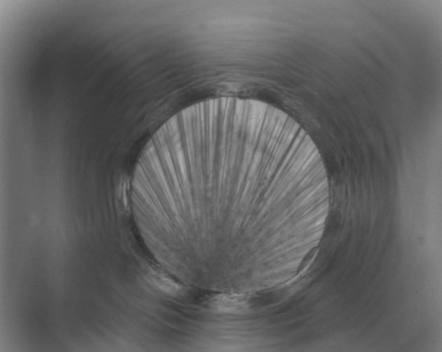 X0000071960094200608041630