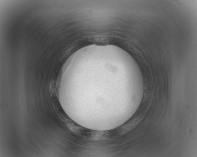 X0000071960096200608041630