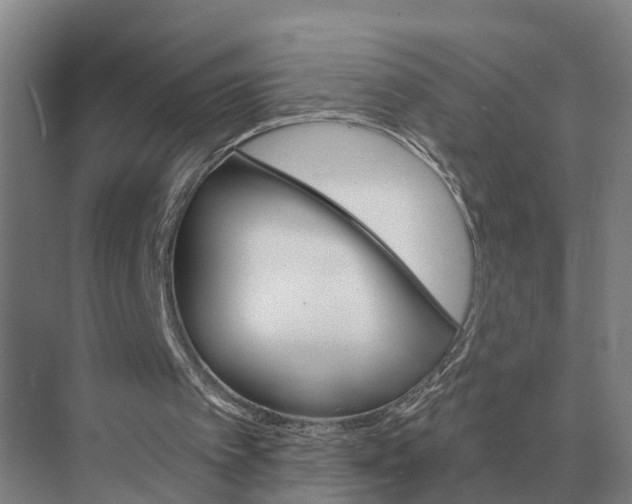 X0000071960097200608041630