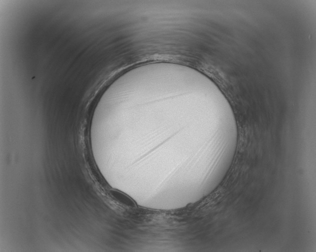 X0000071960098200608041630