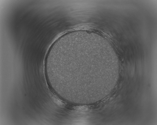 X0000071960100200608041629