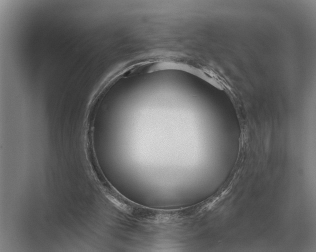 X0000071960101200608041629